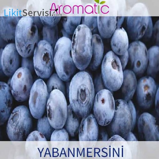 aromatic yabanmersini aroması 10 ml