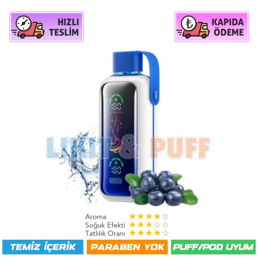 Vozol Star 20000 Puff Blueberry Storm